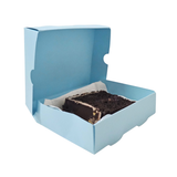 Caja Rebanada de Pastel Colores 11.5x14x3.5 Cms C/52