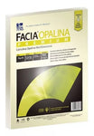 Papel Cartulina Facia Opalina Marfil 225gr Carta C/100 Hojas