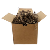 Tiritas de Papel Kraft