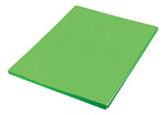 Foamy Paquete Con 2 Piezas Liso Colores 45 X 70 Cms