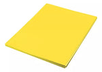 Foamy Paquete Con 2 Piezas Liso Colores 45 X 70 Cms