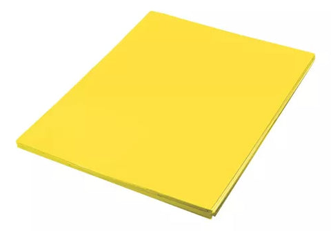 Foamy Paquete Con 2 Piezas Liso Colores 45 X 70 Cms